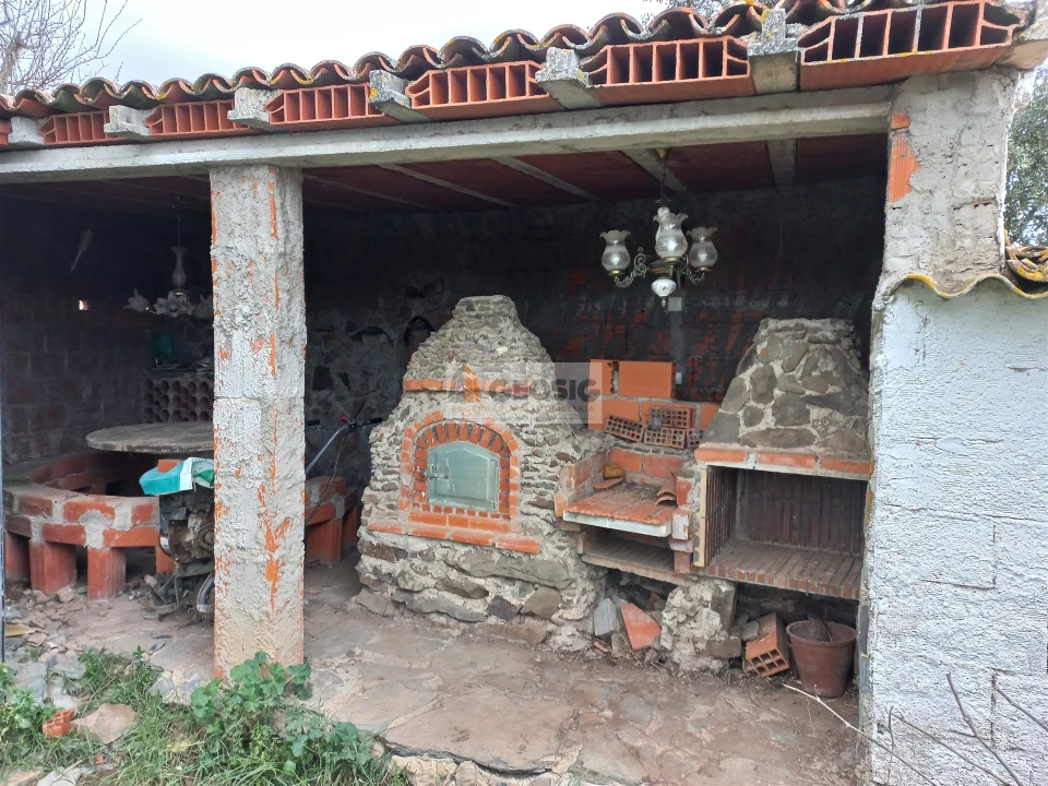 Terreno para Venda em Almodôvar e Graça dos Padrões Foto 12