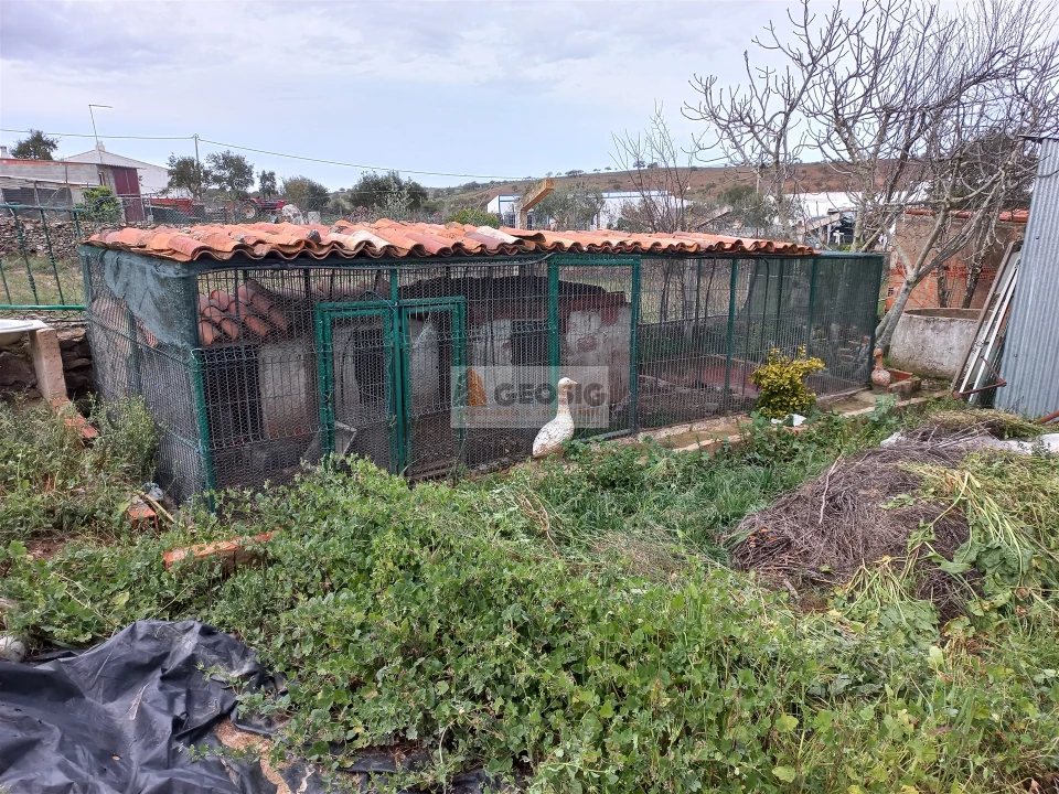 Terreno para Venda em Almodôvar e Graça dos Padrões Foto 16