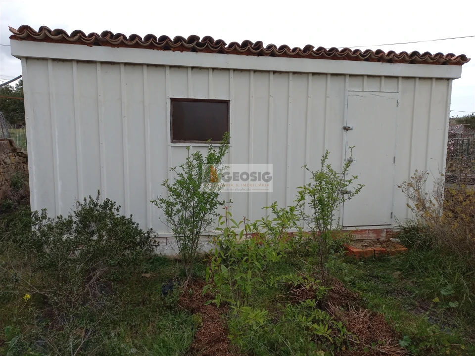 Terreno para Venda em Almodôvar e Graça dos Padrões Foto 4