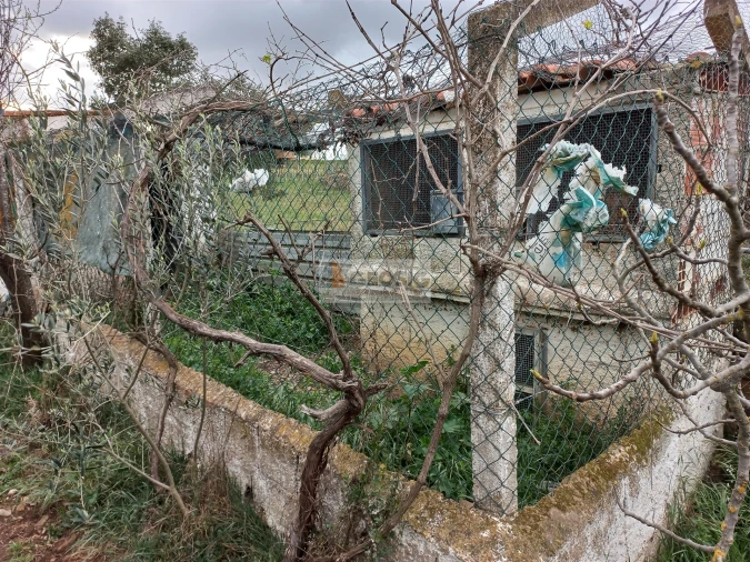 Terreno para Venda em Almodôvar e Graça dos Padrões Foto 14