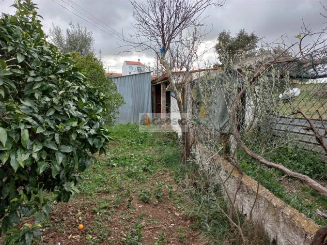 Terreno para Venda em Almodôvar e Graça dos Padrões Foto 15