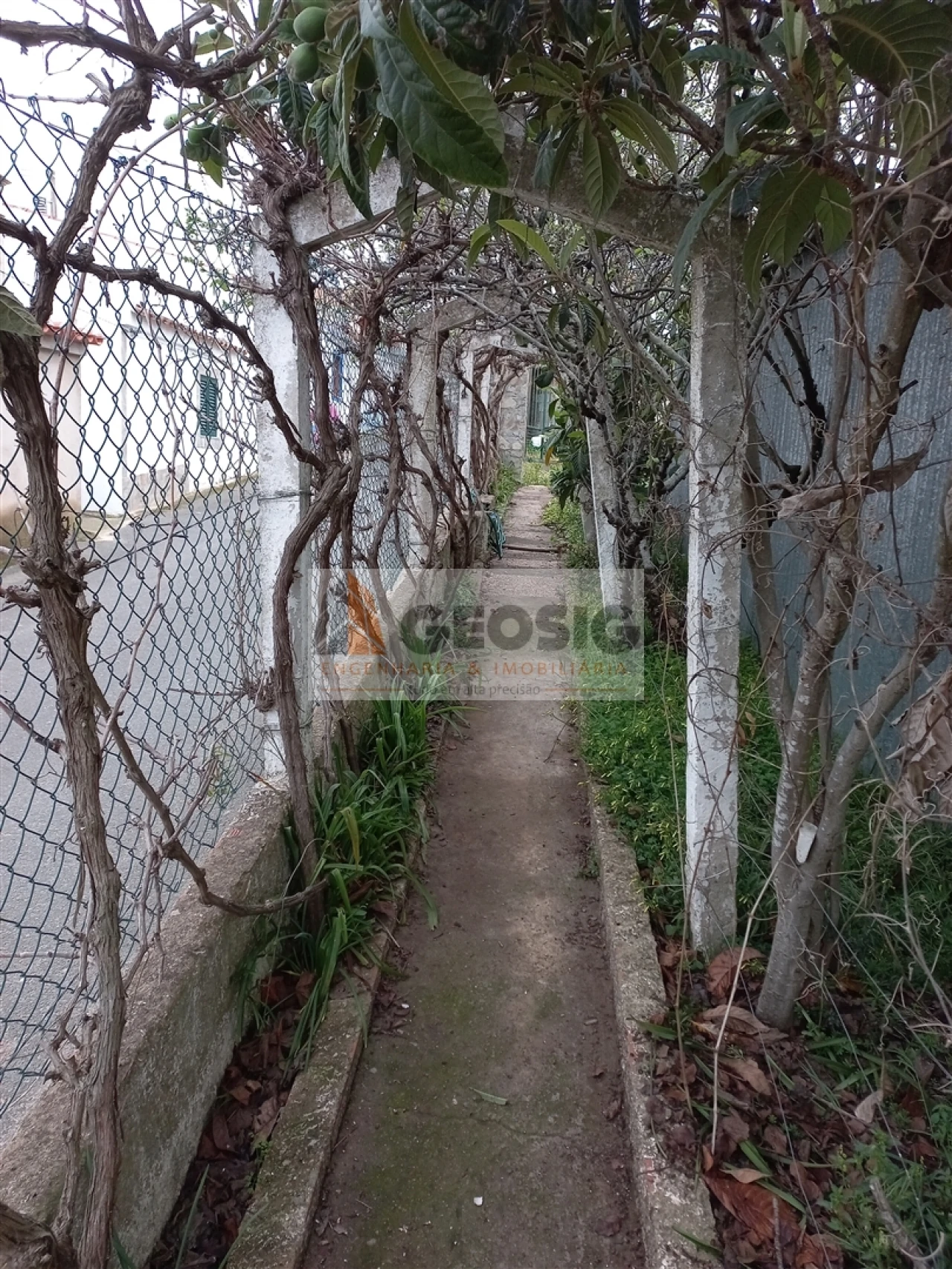 Terreno para Venda em Almodôvar e Graça dos Padrões Foto 11