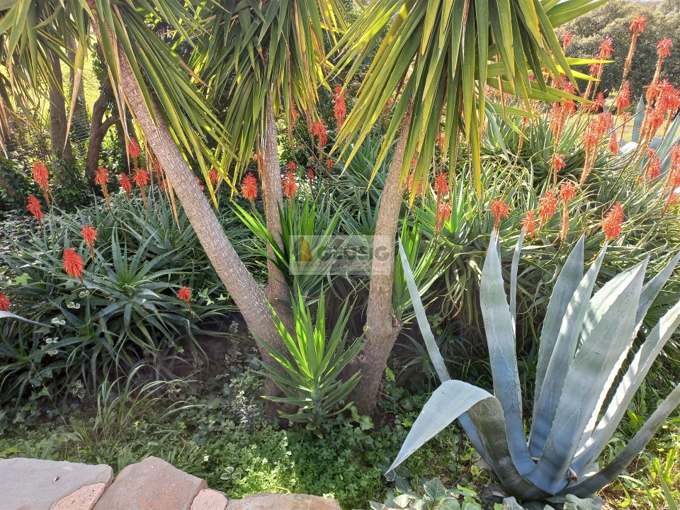 Quinta T7 para Venda em São Barnabe Foto 40