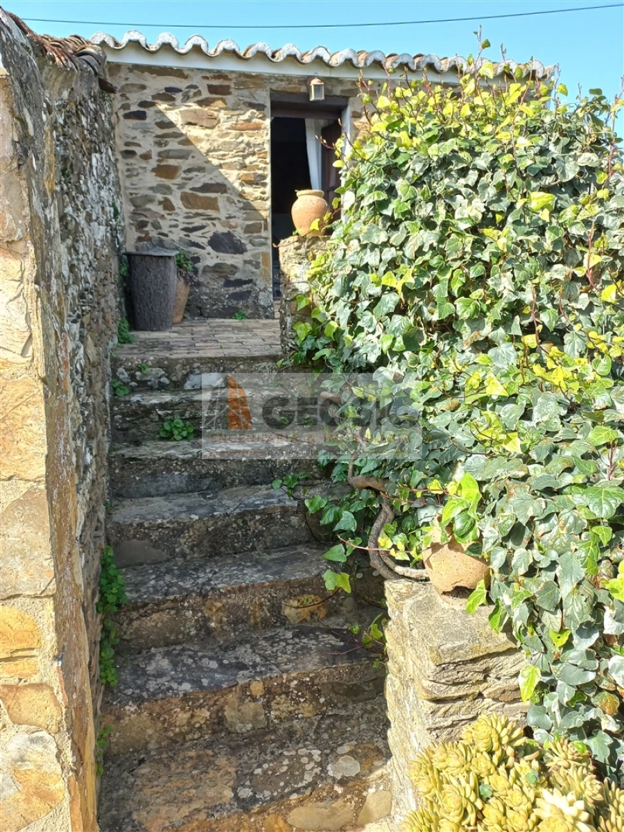 Quinta T7 para Venda em São Barnabe Foto 41