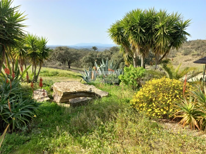 Quinta T7 para Venda em São Barnabe Foto 44