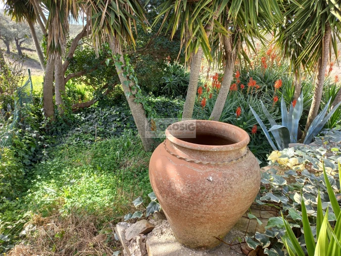 Quinta T7 para Venda em São Barnabe Foto 42