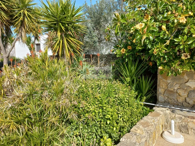 Quinta T7 para Venda em São Barnabe Foto 12