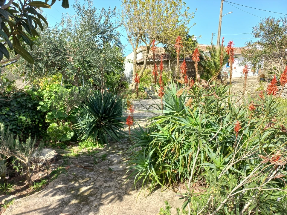 Quinta T7 para Venda em São Barnabe Foto 6