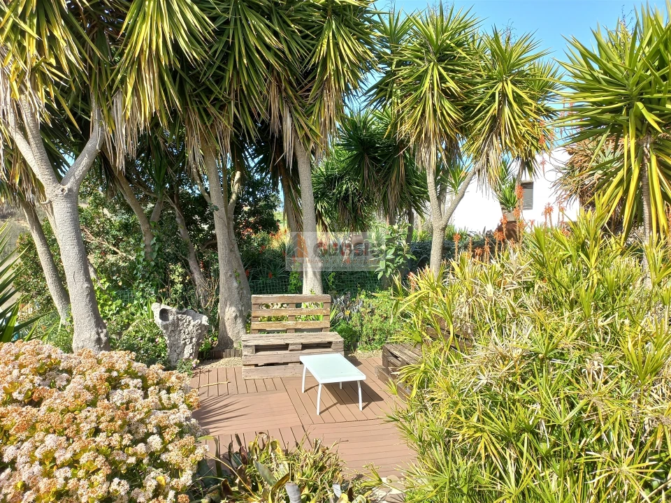 Quinta T7 para Venda em São Barnabe Foto 11