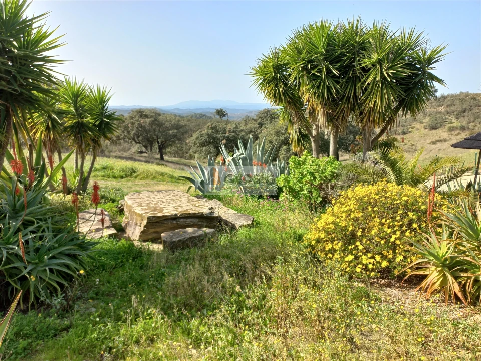 Quinta T7 para Venda em São Barnabe Foto 44