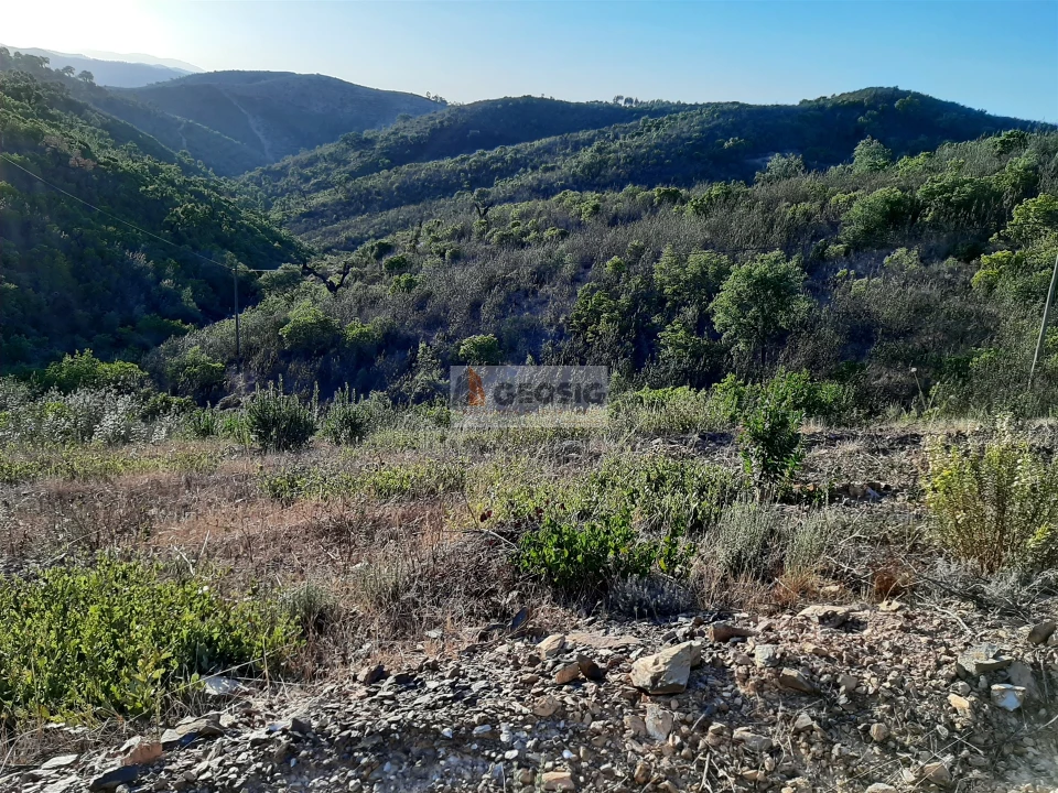 Terreno para Venda em São Barnabe Foto 2