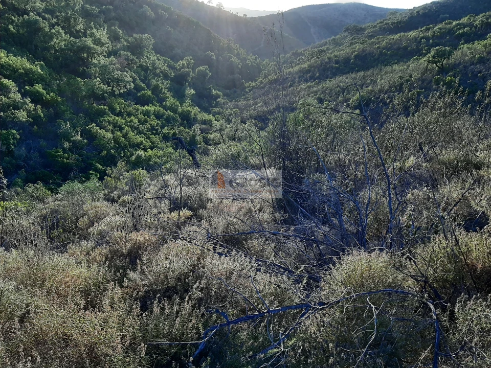 Terreno para Venda em São Barnabe Foto 5