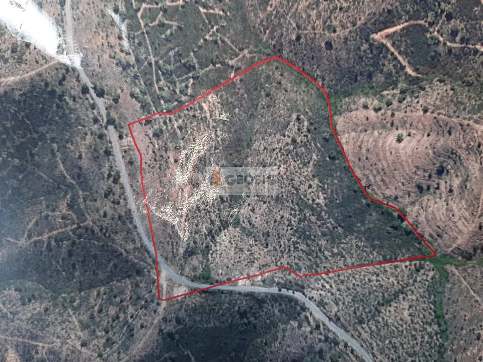 Terreno para Venda em São Barnabe Foto 12