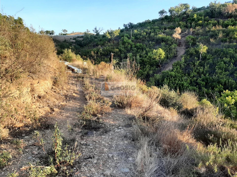 Terreno para Venda em São Barnabe Foto 4