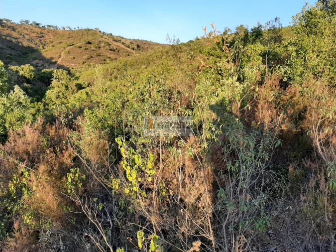 Terreno para Venda em São Barnabe Foto 8