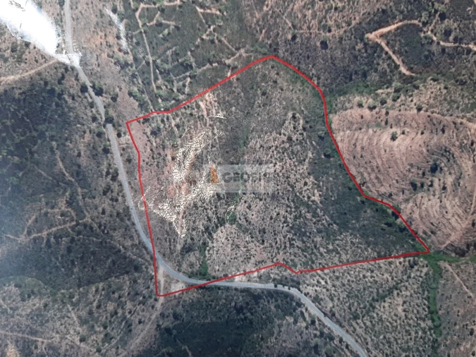 Terreno para Venda em São Barnabe Foto 12