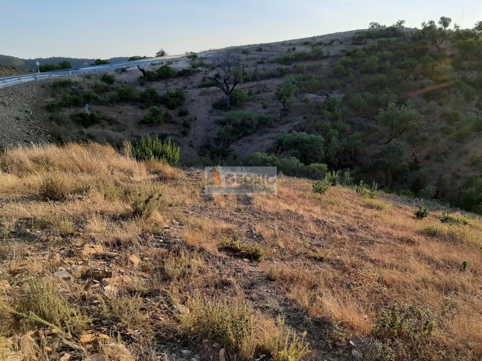 Terreno para Venda em São Barnabe Foto 9