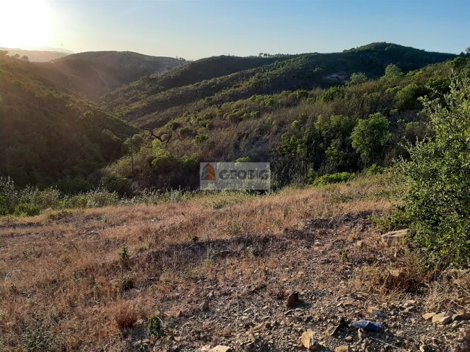 Terreno para Venda em São Barnabe