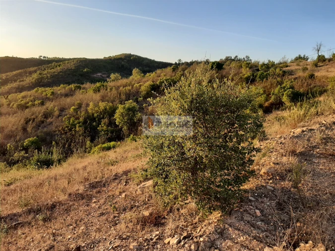 Terreno para Venda em São Barnabe Foto 11