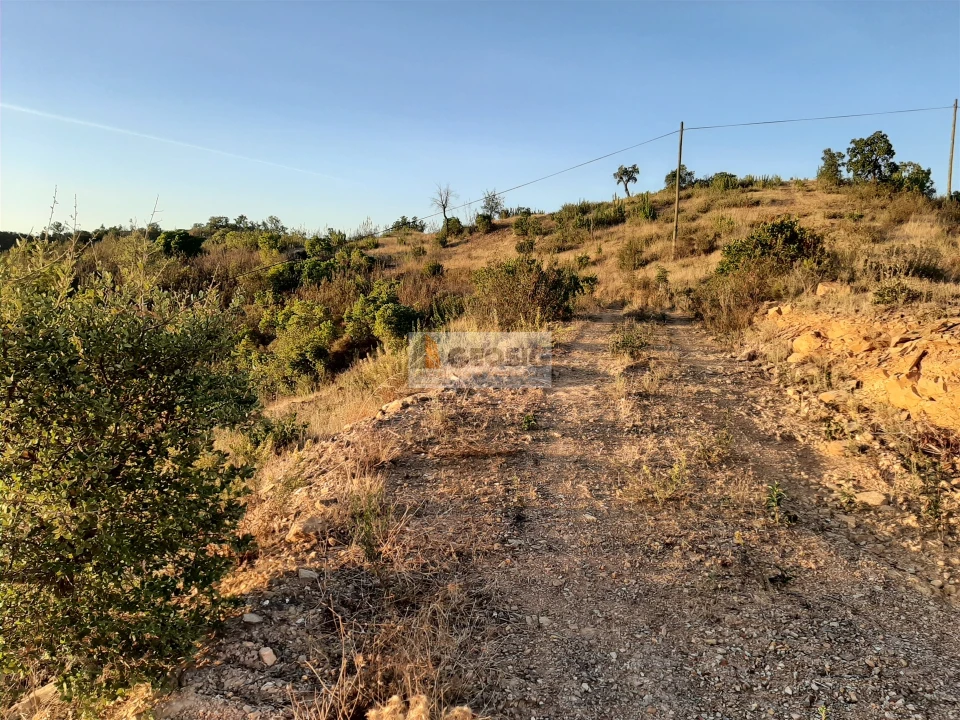 Terreno para Venda em São Barnabe Foto 10