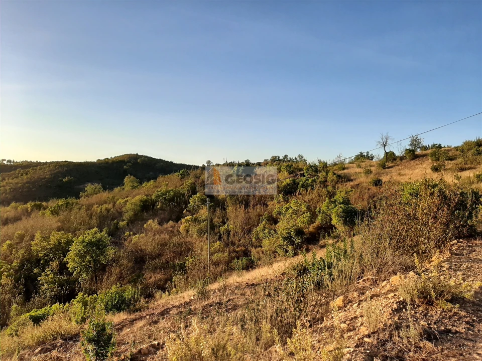 Terreno para Venda em São Barnabe Foto 3