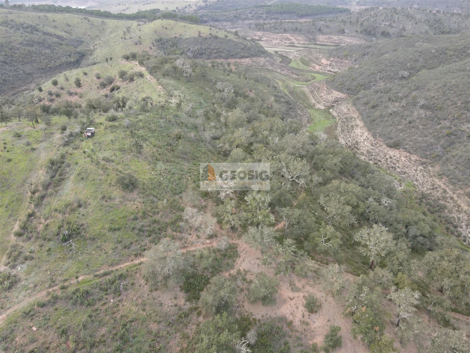 Quinta T0 para Venda em Santana da Serra Foto 12
