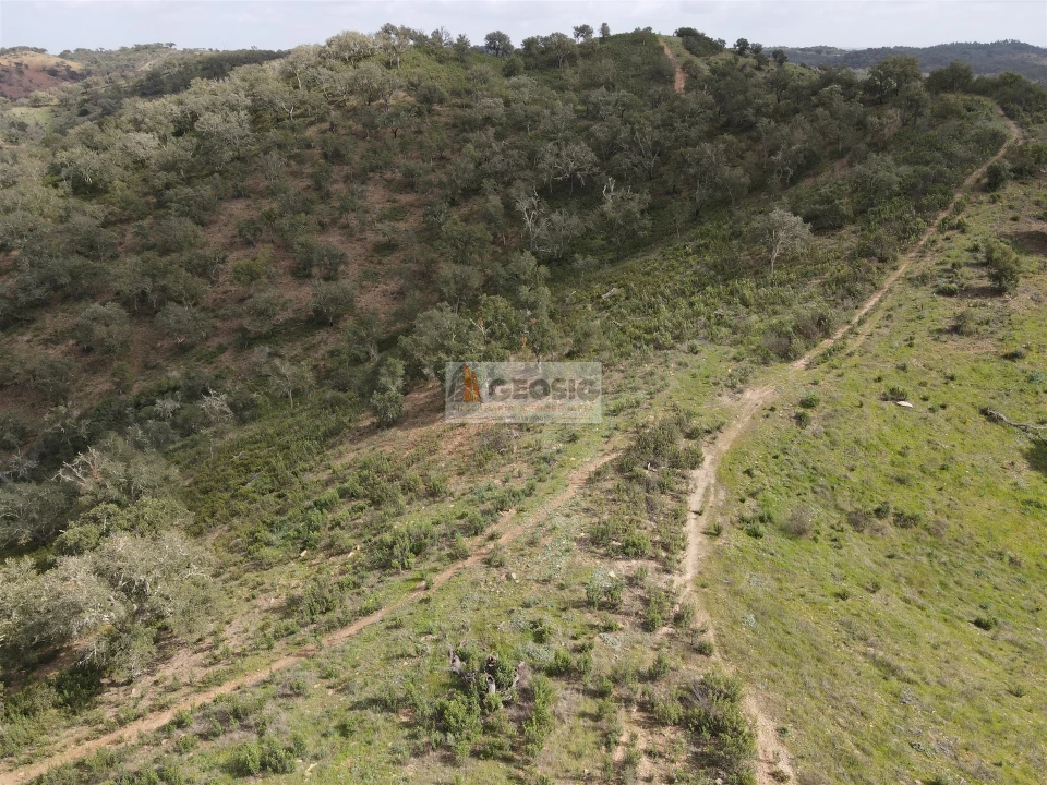 Quinta T0 para Venda em Santana da Serra Foto 10