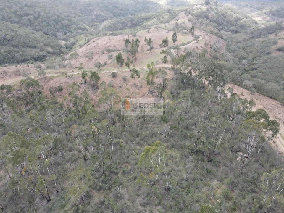Quinta T0 para Venda em Santana da Serra Foto 7