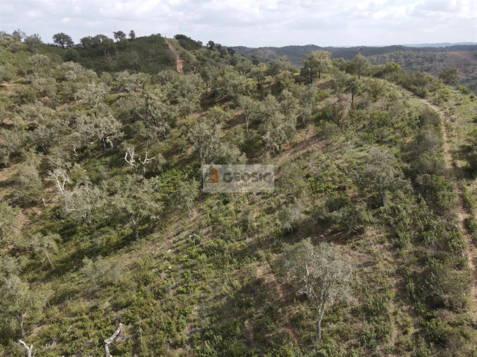 Quinta T0 para Venda em Santana da Serra Foto 16