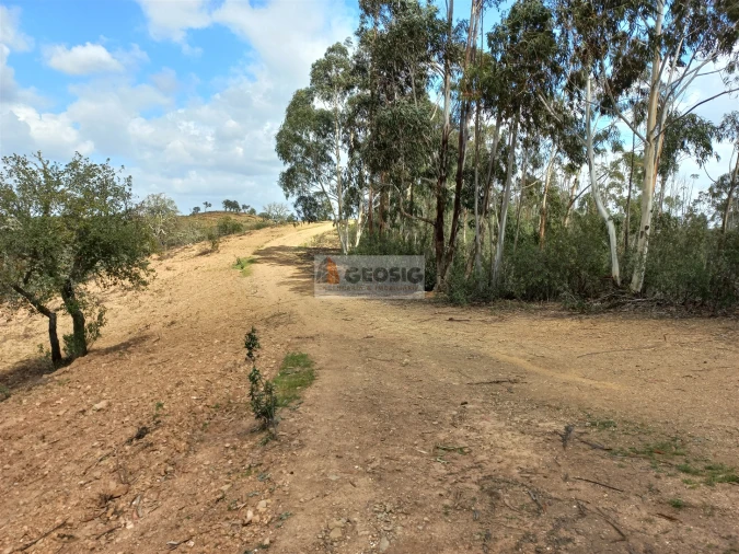 Quinta T0 para Venda em Santana da Serra Foto 6