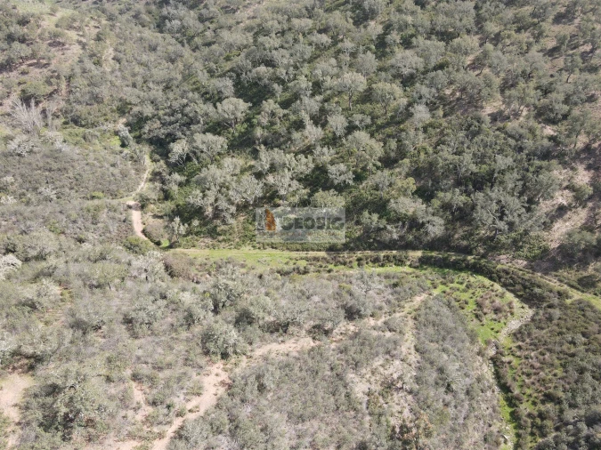 Quinta T0 para Venda em Santana da Serra Foto 15