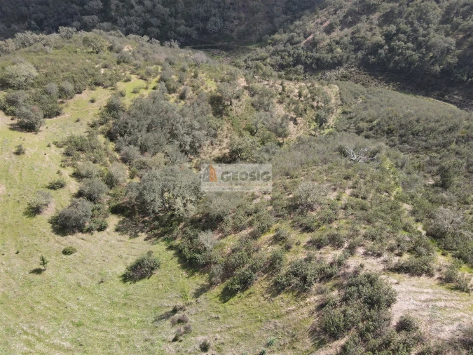 Quinta T0 para Venda em Santana da Serra Foto 8