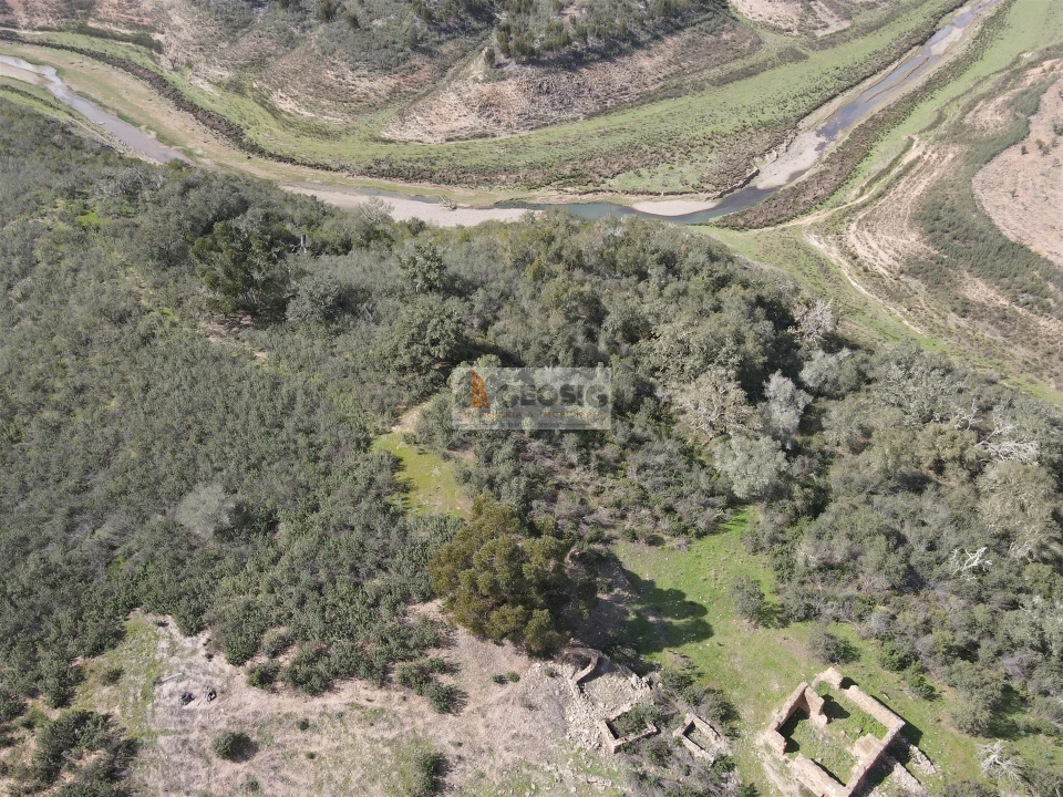 Quinta T0 para Venda em Santana da Serra Foto 9