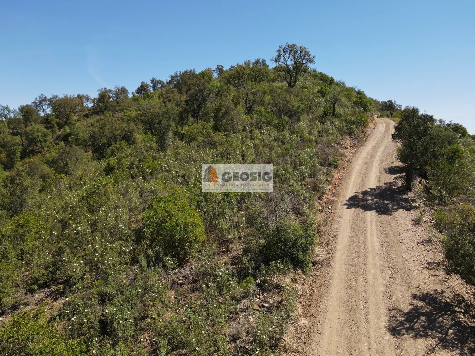 Terreno Agricola ou Rústico para Venda em São Barnabe Foto 2