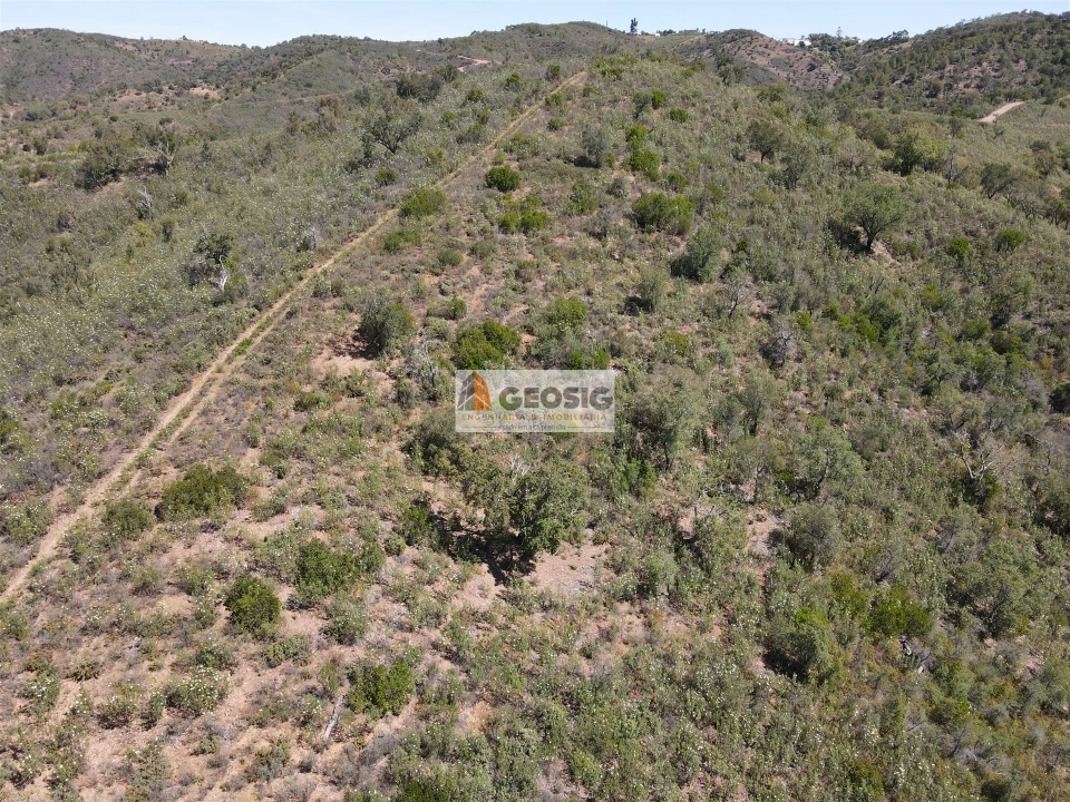 Terreno Agricola ou Rústico para Venda em São Barnabe Foto 11