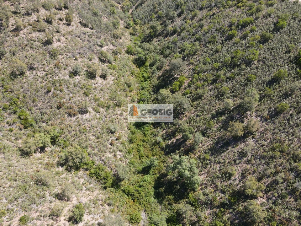 Terreno Agricola ou Rústico para Venda em São Barnabe Foto 10