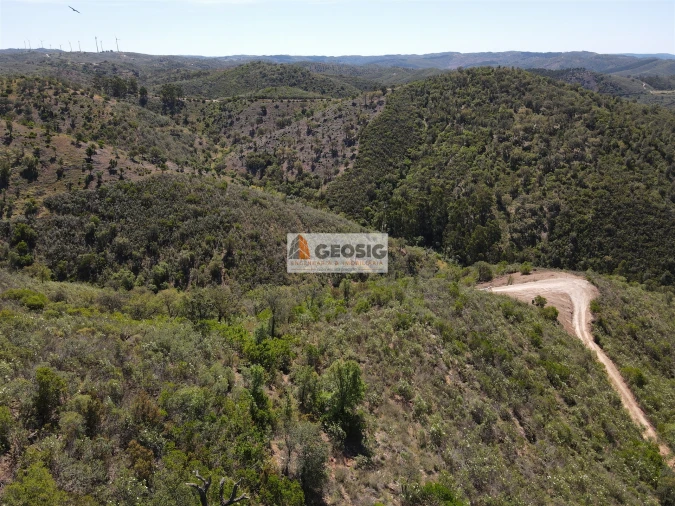 Terreno Agricola ou Rústico para Venda em São Barnabe Foto 9