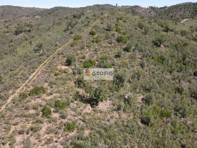 Terreno Agricola ou Rústico para Venda em São Barnabe Foto 11