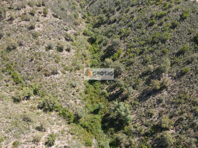 Terreno Agricola ou Rústico para Venda em São Barnabe Foto 10
