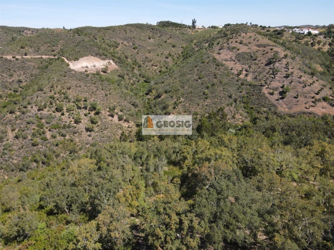 Terreno Agricola ou Rústico para Venda em São Barnabe Foto 3