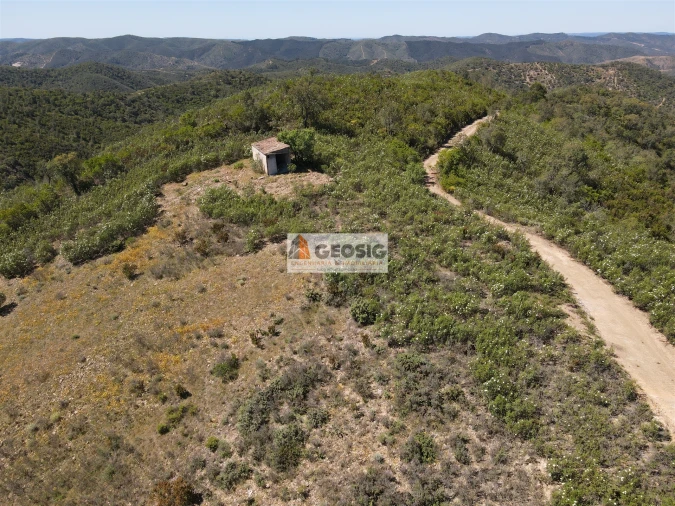 Terreno Agricola ou Rústico para Venda em São Barnabe Foto 5