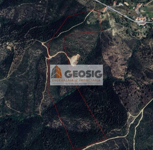 Terreno Agricola ou Rústico para Venda em São Barnabe Foto 13