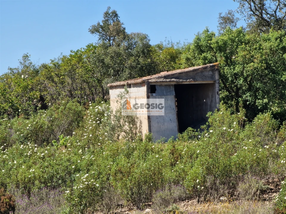Terreno Agricola ou Rústico para Venda em São Barnabe Foto 7