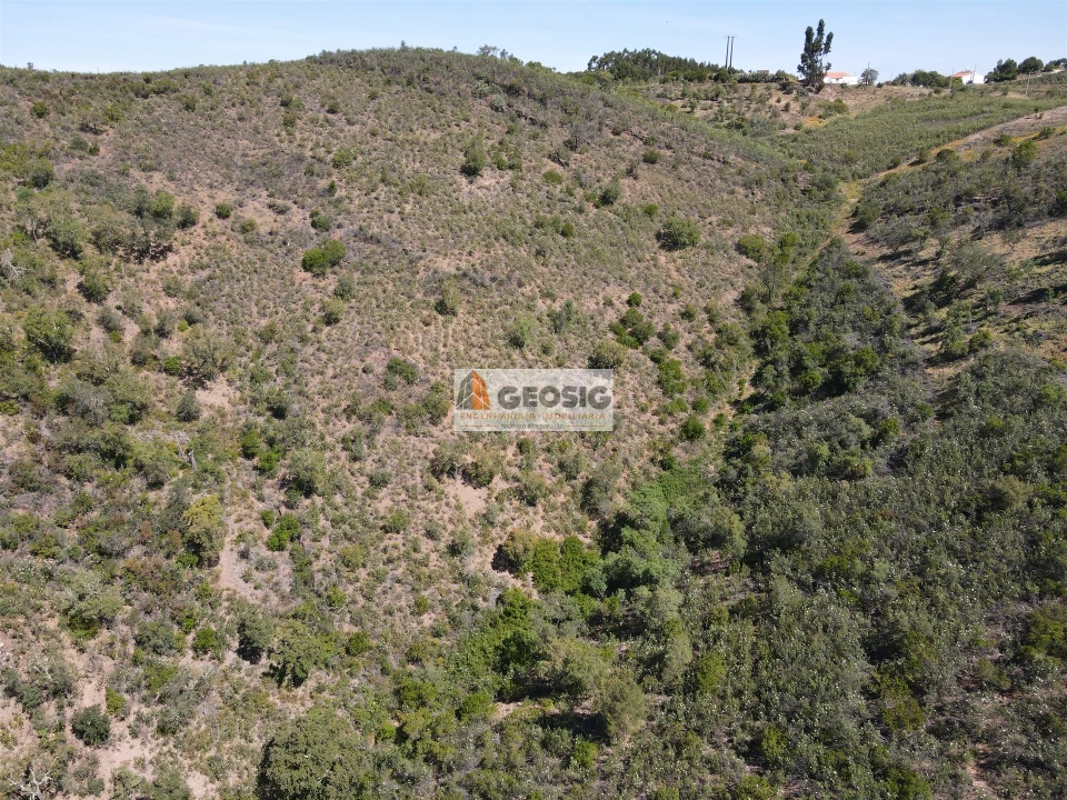 Terreno Agricola ou Rústico para Venda em São Barnabe Foto 4