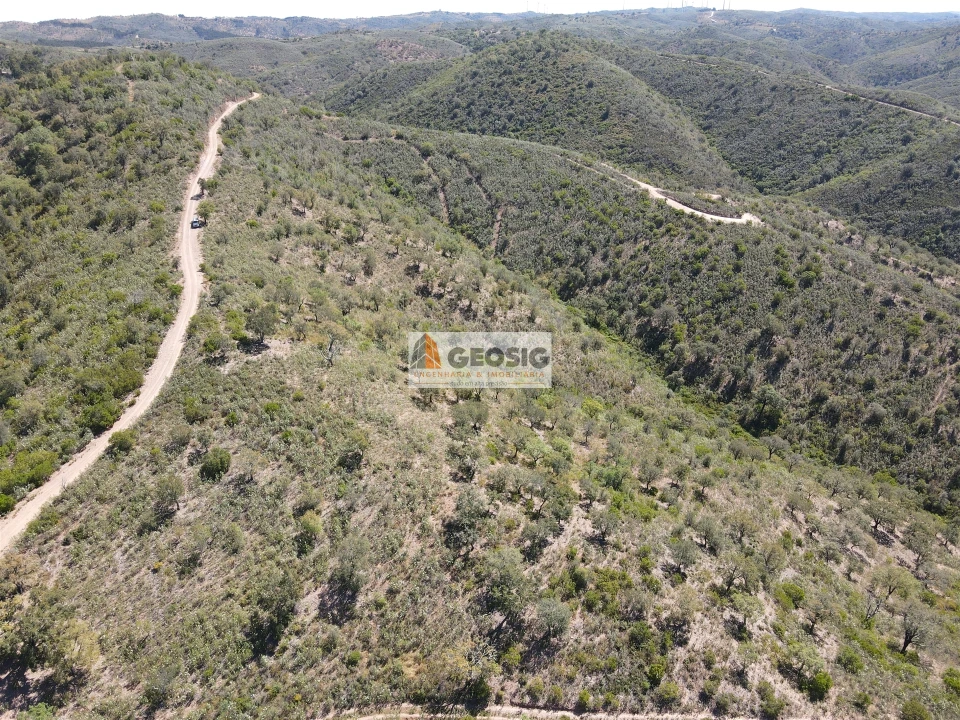 Terreno Agricola ou Rústico para Venda em São Barnabe Foto 12