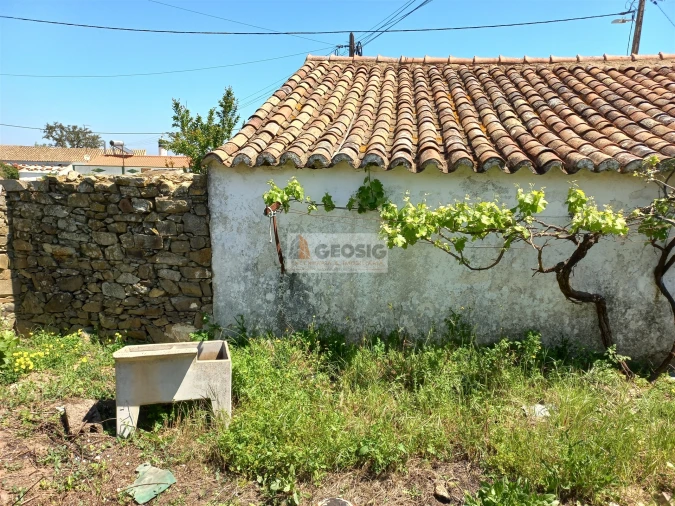 Armazém para Venda em Santa Cruz Foto 3