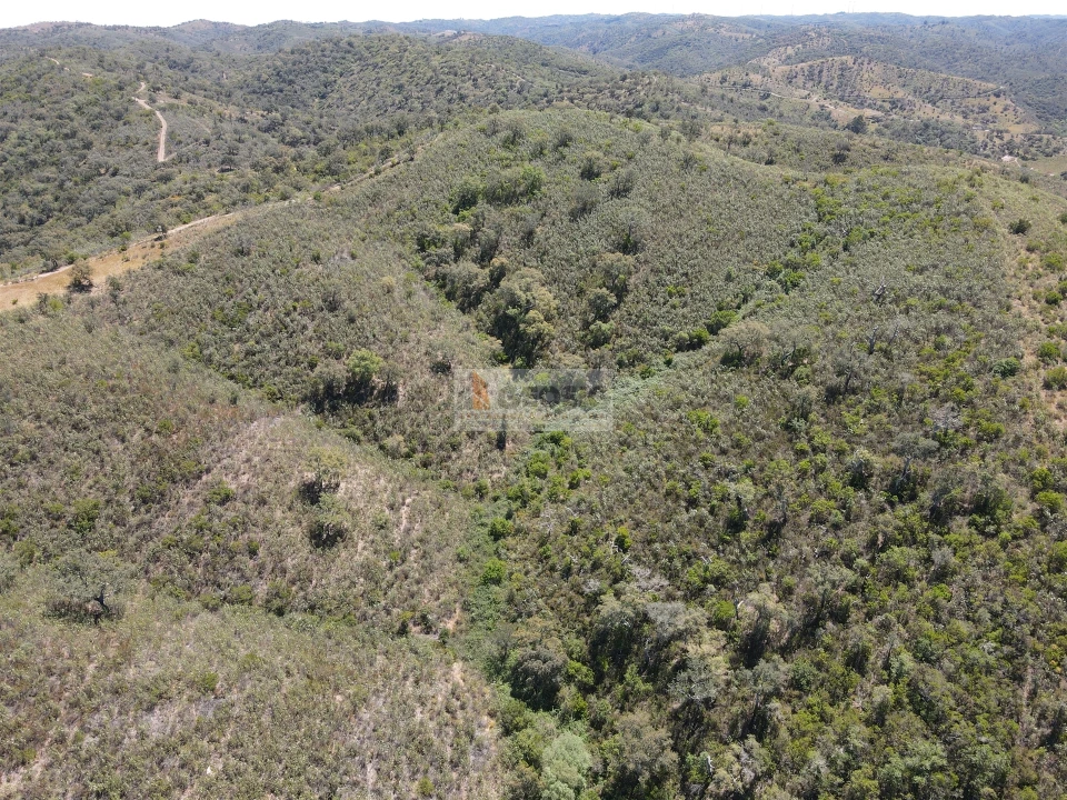 Terreno para Venda em São Barnabe Foto 6