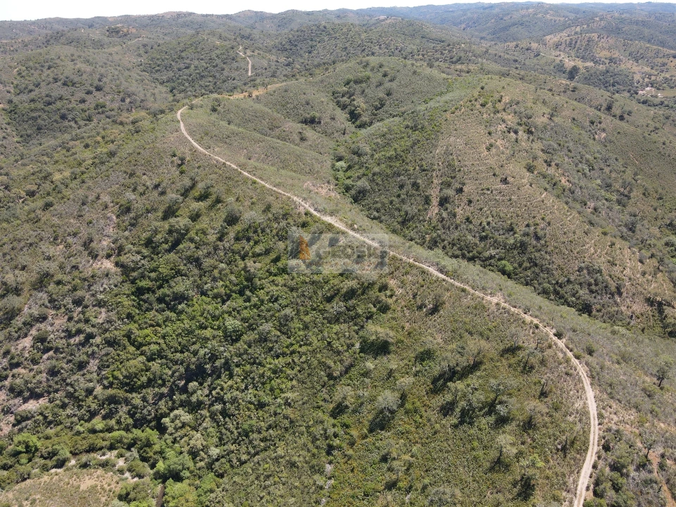Terreno para Venda em São Barnabe Foto 5