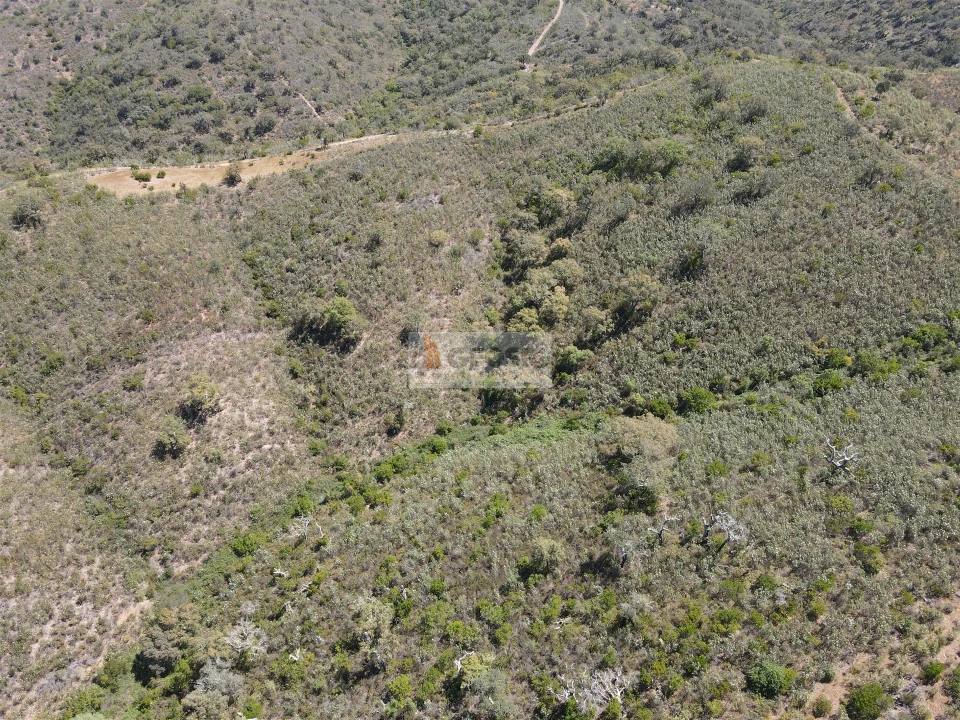 Terreno para Venda em São Barnabe Foto 4
