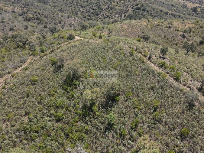 Terreno para Venda em São Barnabe